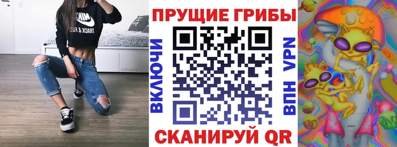 Купить закладки  Новотитаровская  Галлюциногенные грибы Psilocybe 